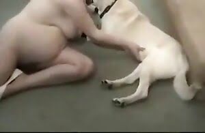 Tình dục động vật miễn phí là tình dục động vật tốt nhất