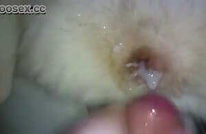 Đồng tính bestiality khiêu dâm tình dục đầu với creampie